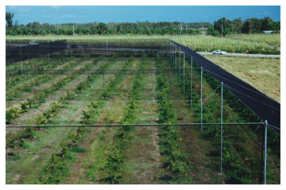 grid style fencing weathersolve agricultural solutions