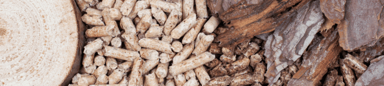 Close-up of a cross-section of a tree trunk, wood pellets, and pieces of tree bark displayed side by side.